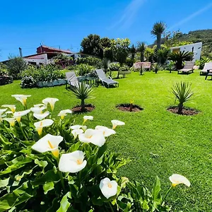 https://casa-lazaro-tegueste.in-canary-islands.com